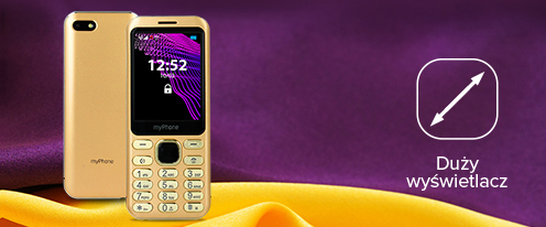 MyPhone Maestro