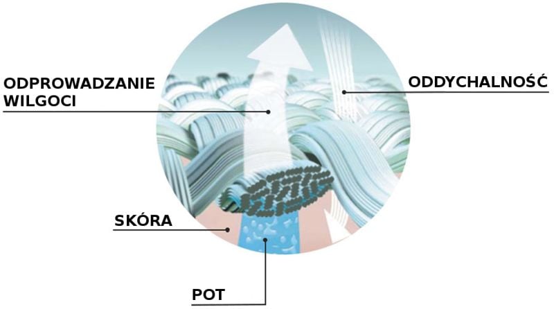 alternatywny opis obrazka