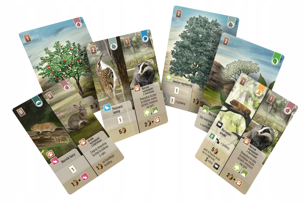 Różnorodność kart i strategii