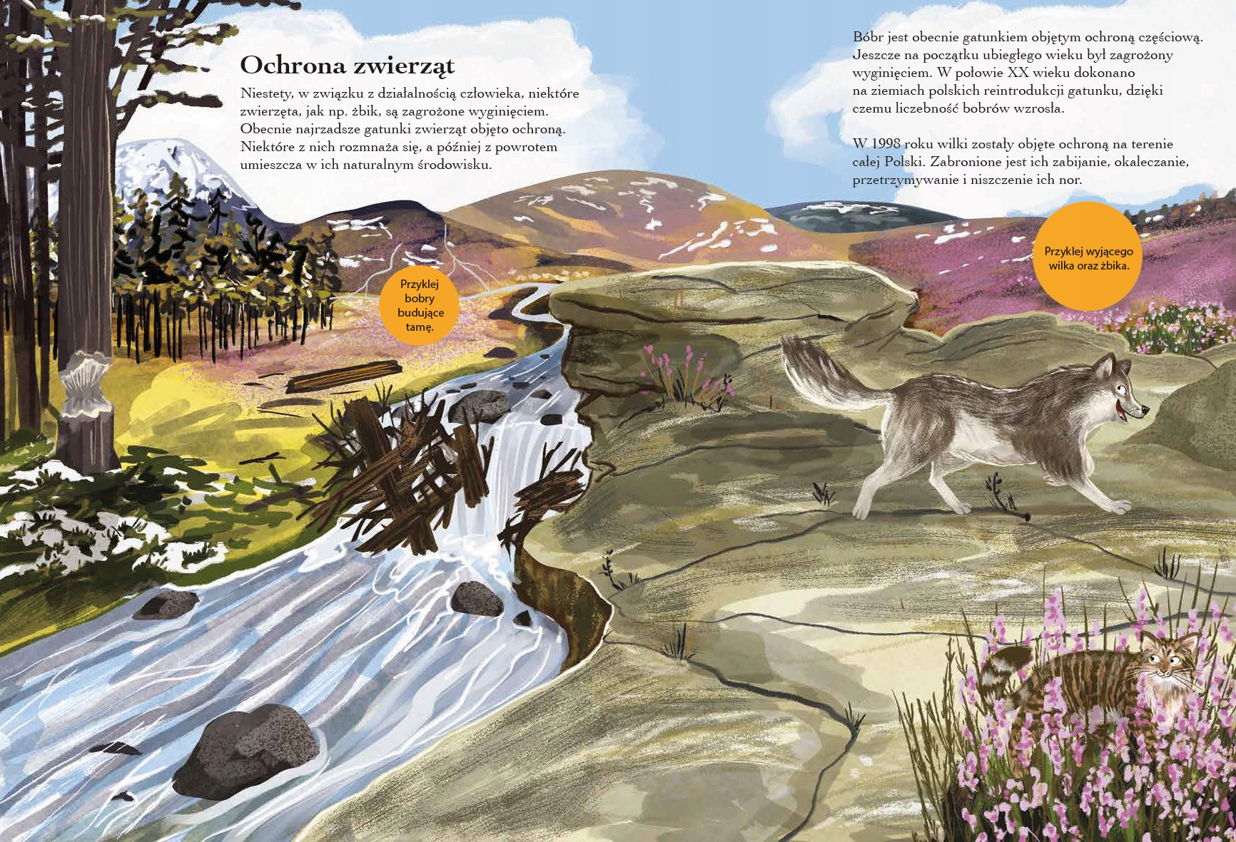 Piękne ilustracje, które zachwycają