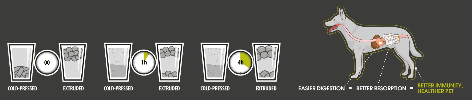 Technologia Cold Pressed – Zdrowe jedzenie dla Twojego pupila