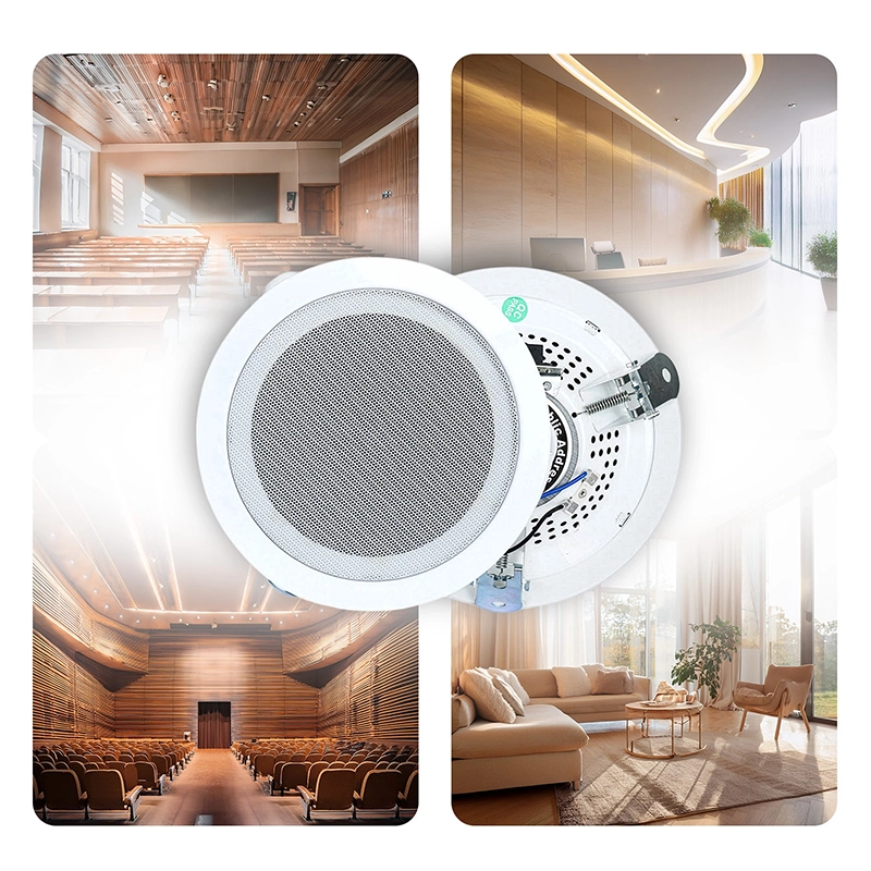 Zastosowanie głośnika AB114 – Doskonały wybór do szkół, biur i obiektów publicznych