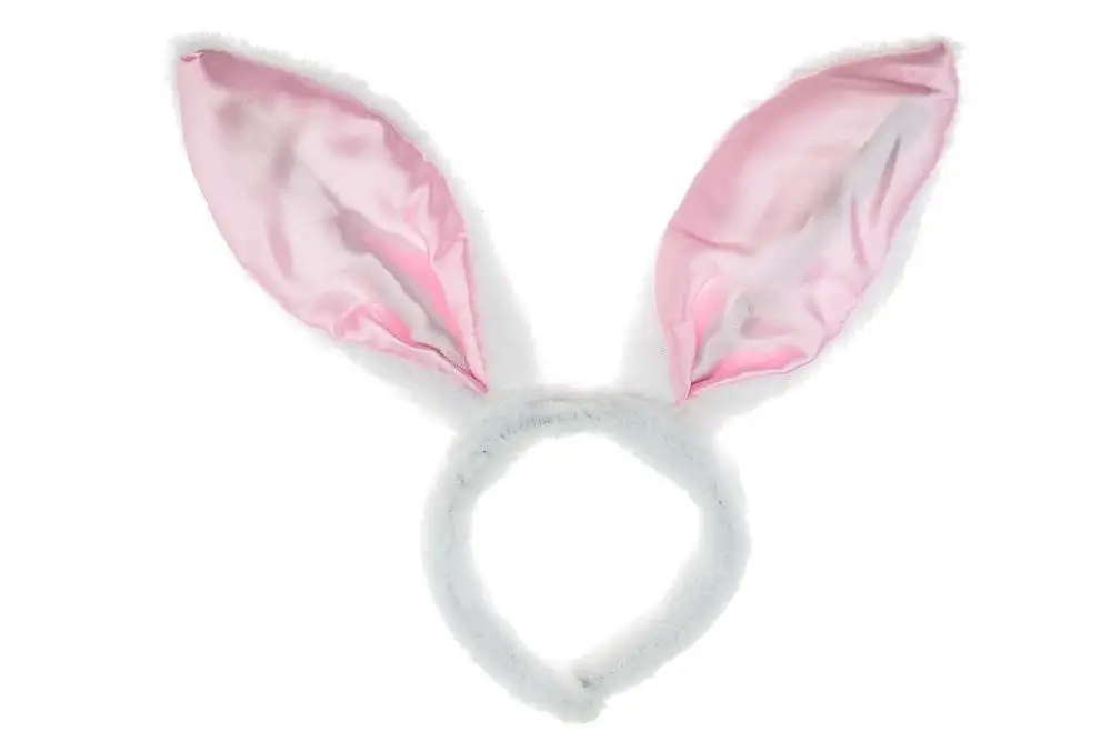 Przeznaczenie uniseks – Dla każdego miłośnika zwierząt