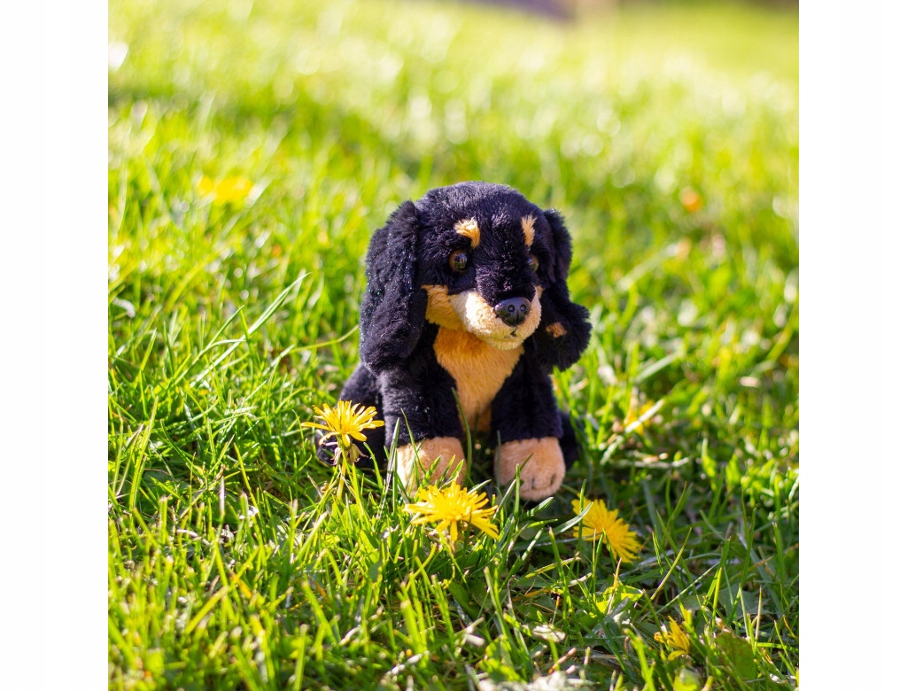 Idealny do przytulania i zabawy