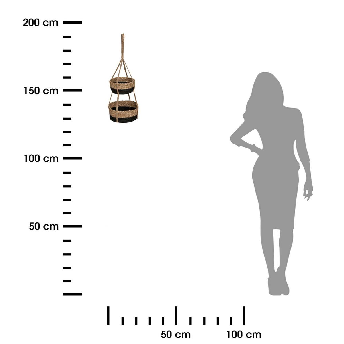 312464.jpg