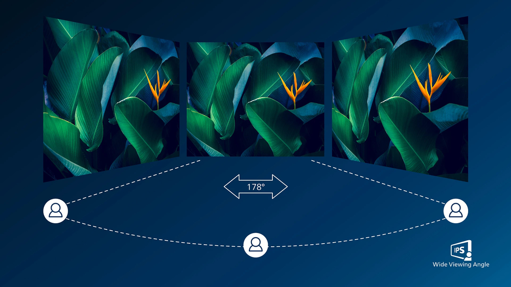 Technologia IPS zapewniająca szerokie kąty widzenia