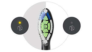 Szczotkuj jak najlepiej dzięki przypomnieniom BrushSync