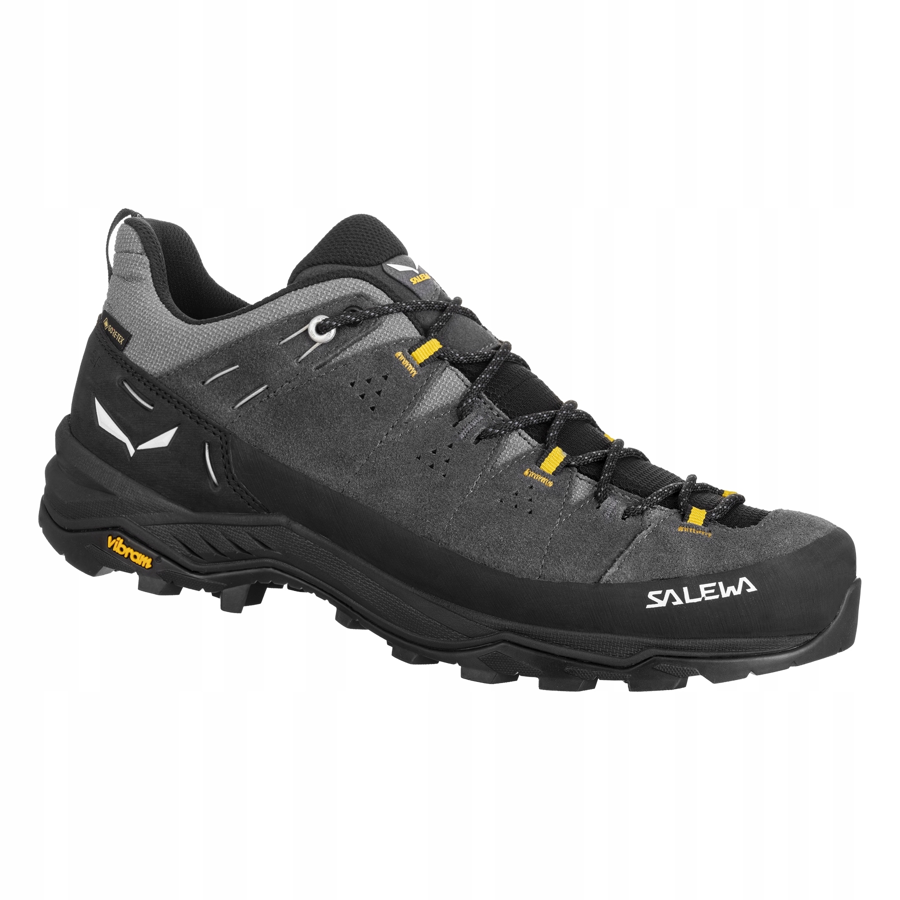 Buty Alp Trainer 2 GTX – Komfort i ochrona w górach