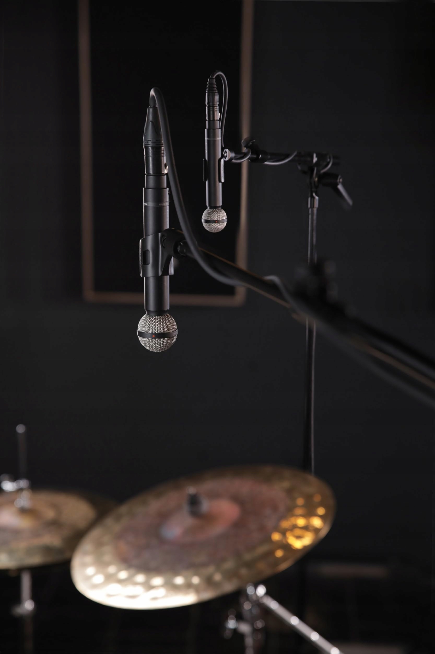 Zastosowanie w profesjonalnym nagrywaniu