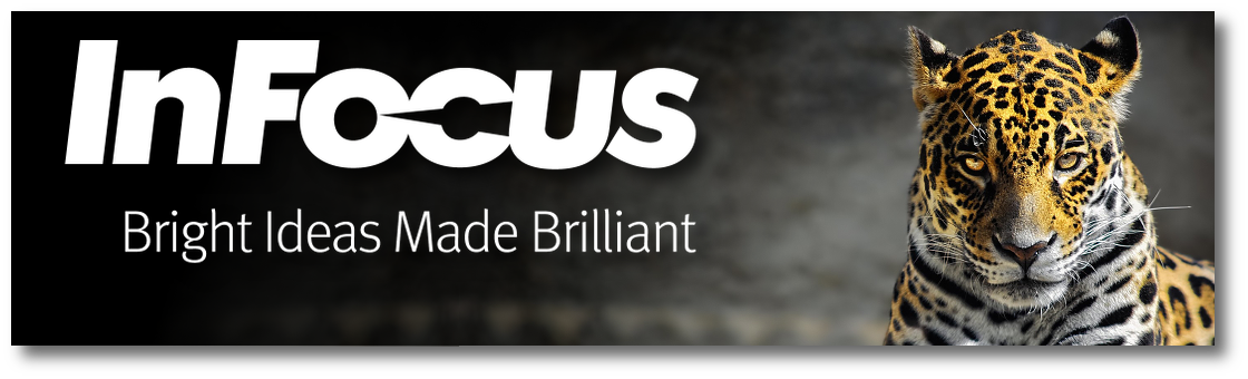 infocus_naglowek