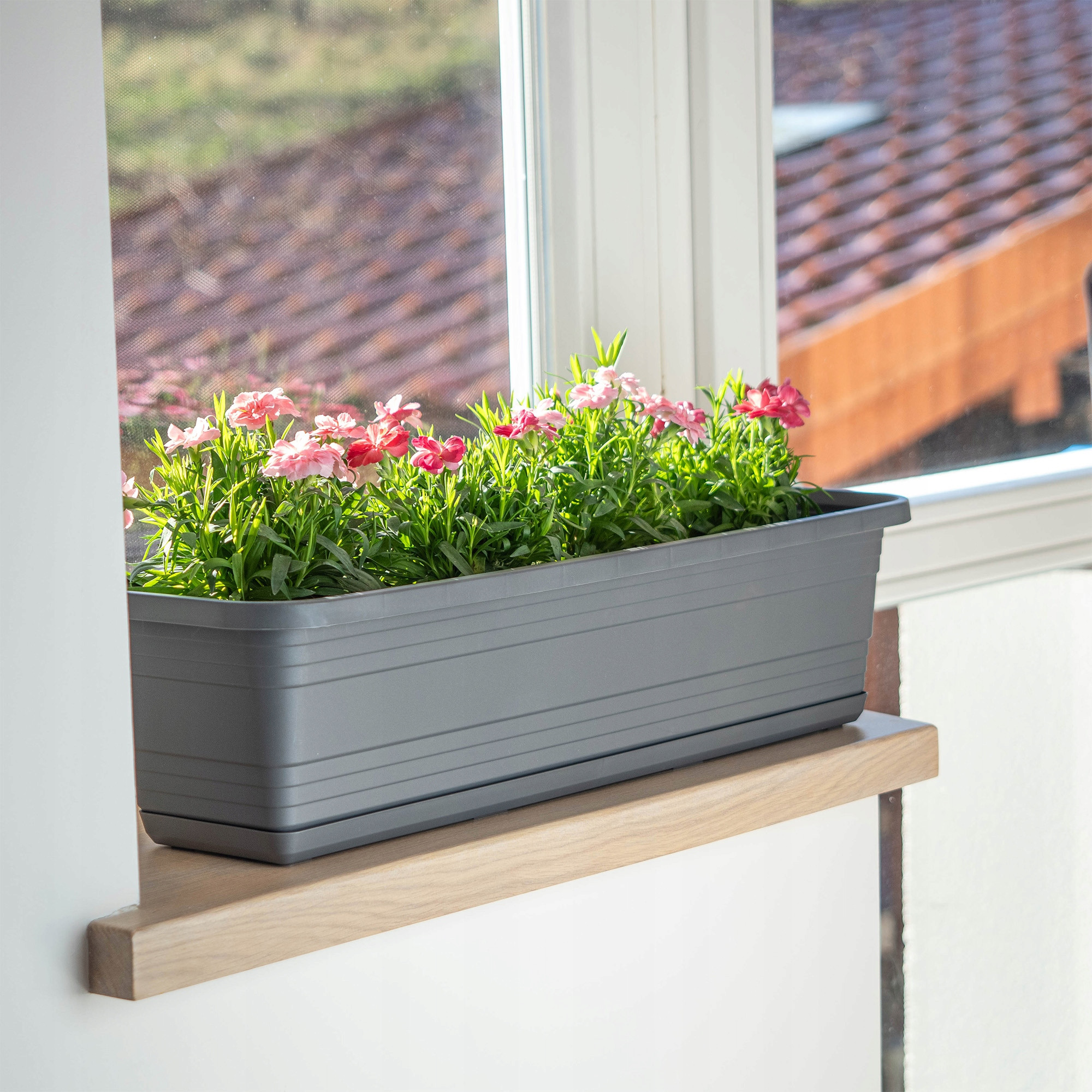 Praktyczność i estetyka – Skrzynka balkonowa z podstawką