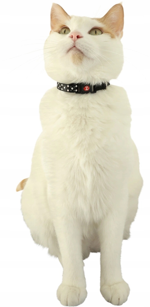 Odblaskowe elementy zwiększające widoczność kota