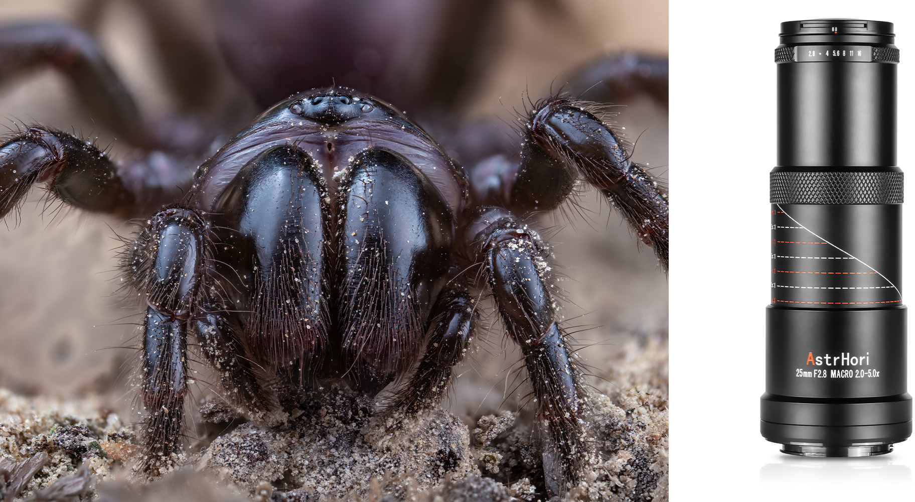 Obiektyw AstrHori MF 25 mm f/2,8 Full-frame Macro do Sony E