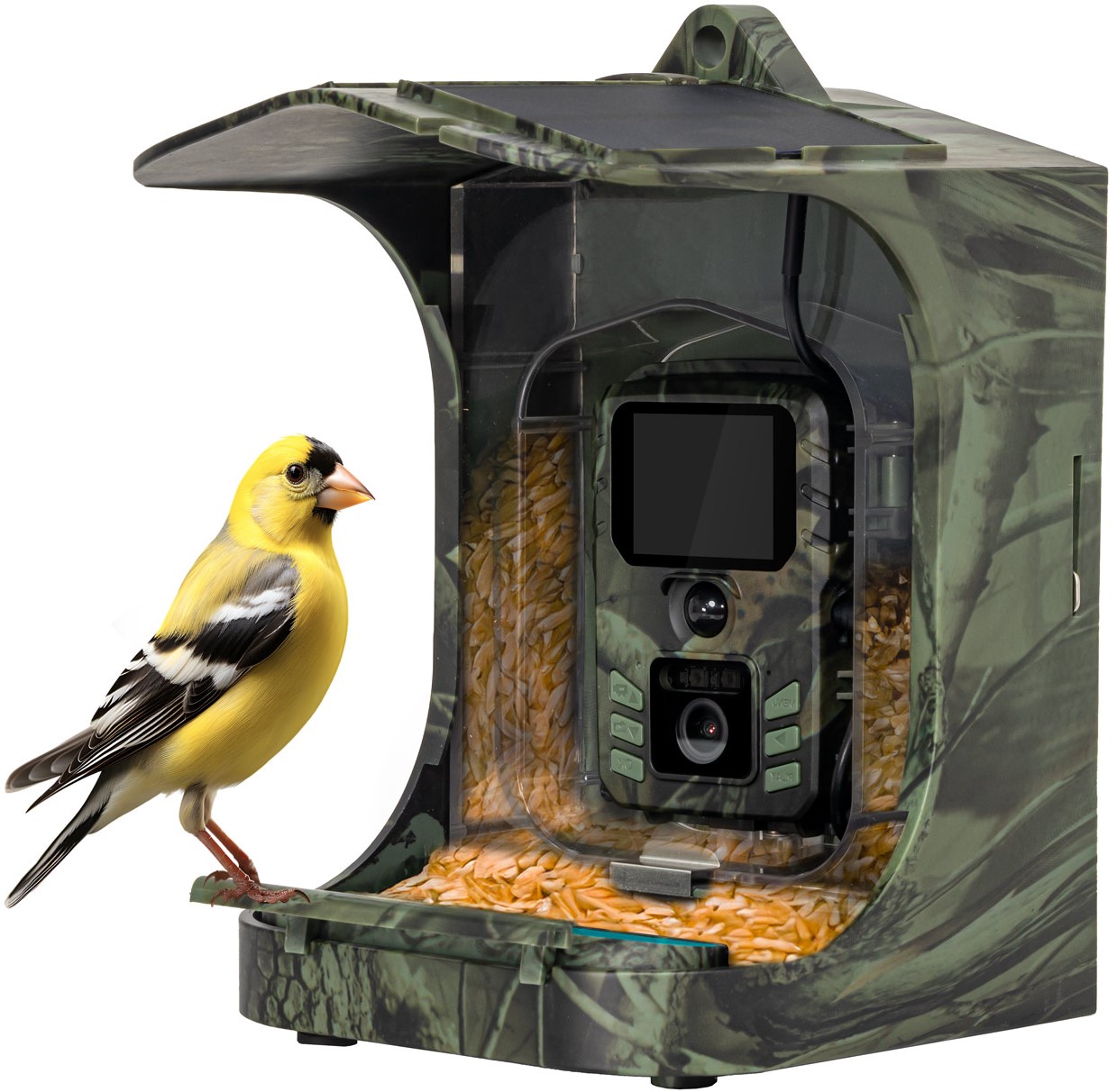 EVOLVEO StrongVision BirdFeeder* – Inteligentny karmnik dla ptaków z kamerą i panelem słonecznym