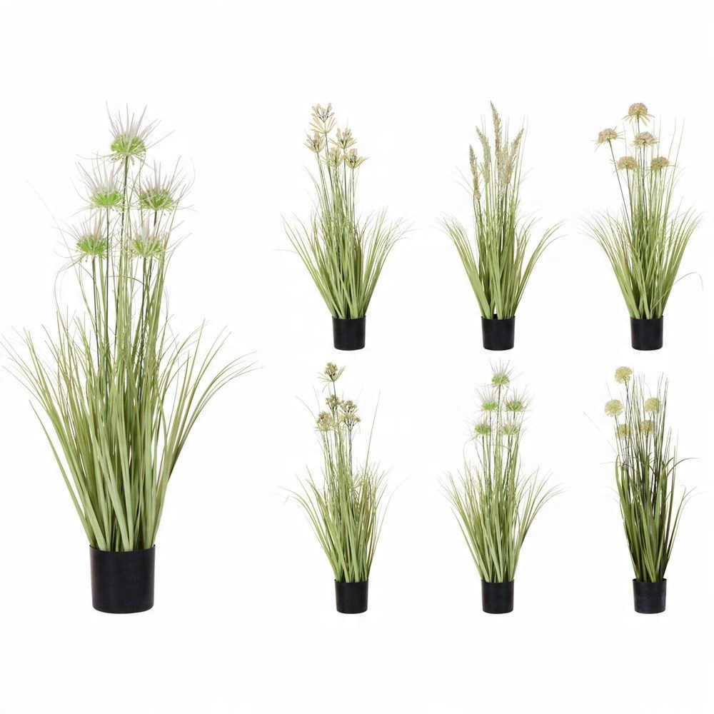 Trawa pampasowa w donicy 90cm – Naturalne piękno w Twoim wnętrzu