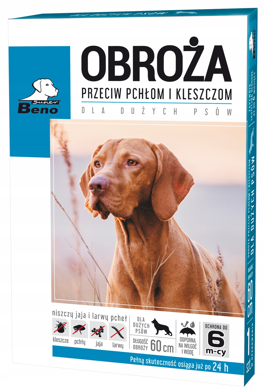 Hamowanie namnażania pcheł – niszczenie jaj i larw