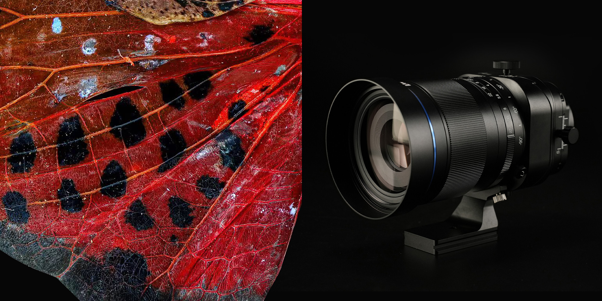 Obiektyw Laowa 55 mm f/2,8 Tilt-Shift 1x Macro do Canon RF