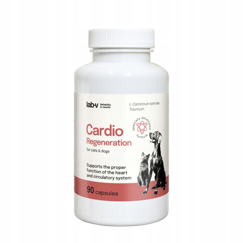 LAB-V Cardio Regeneration – Wsparcie dla serca i układu krążenia psów i kotów