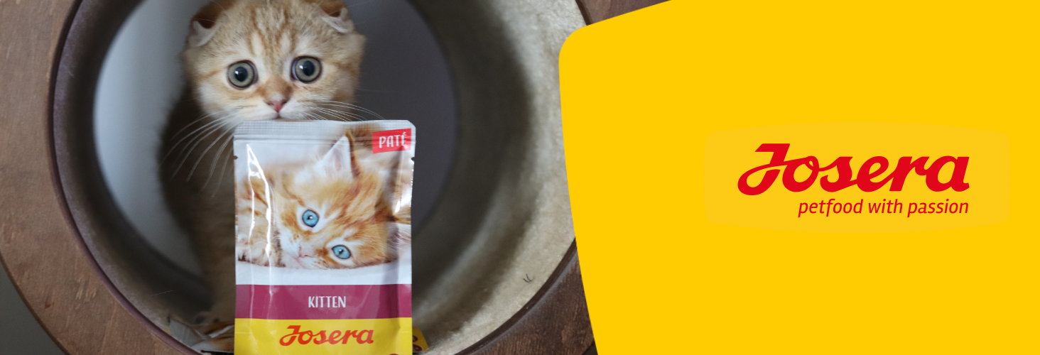 Dobry skład karmy - szczęśliwe zwierzę Dobry skład karmy - szczęśliwe zwierzę