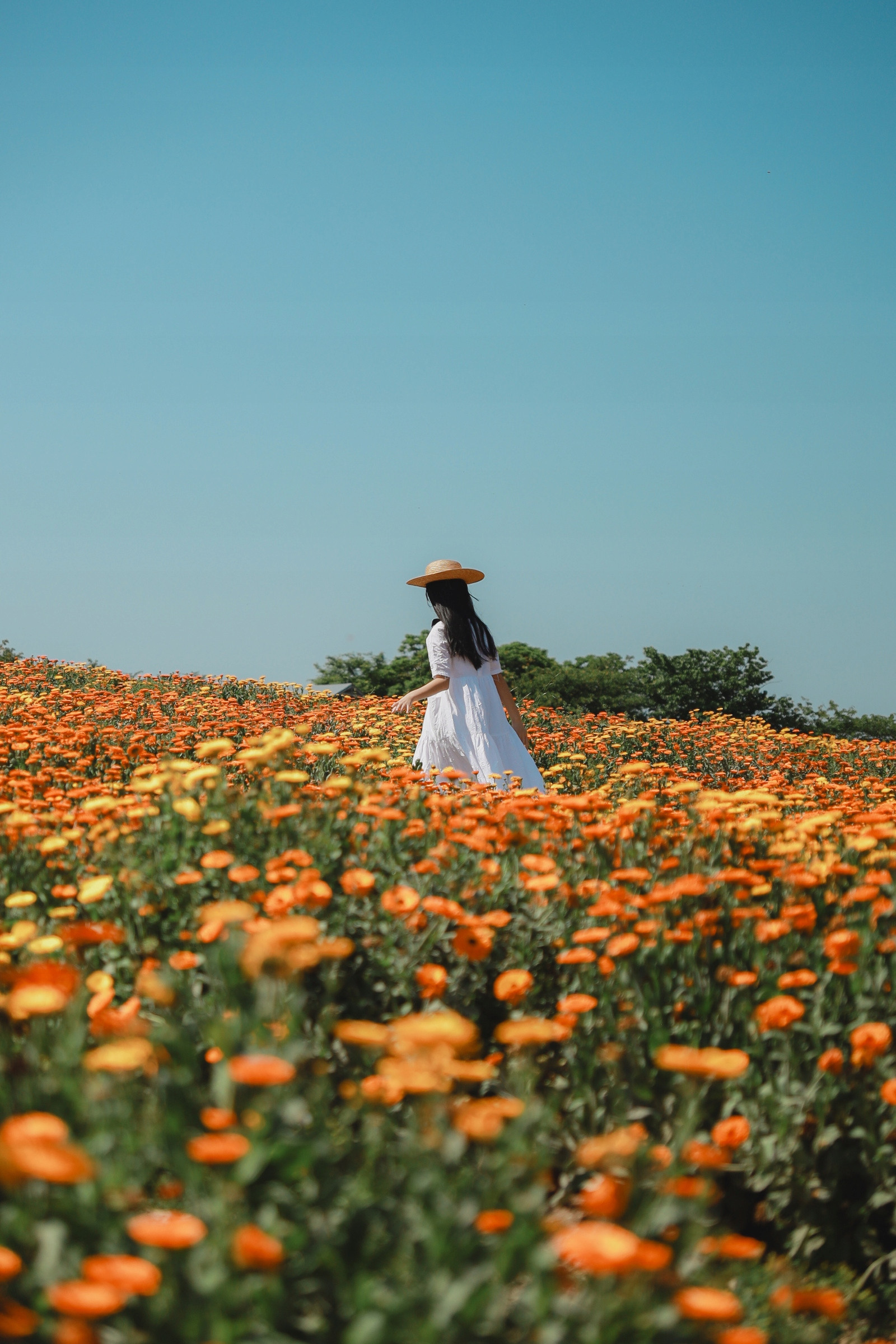 Przykładowe zdjęcia wykonane obiektywem Sigma 18-50 mm