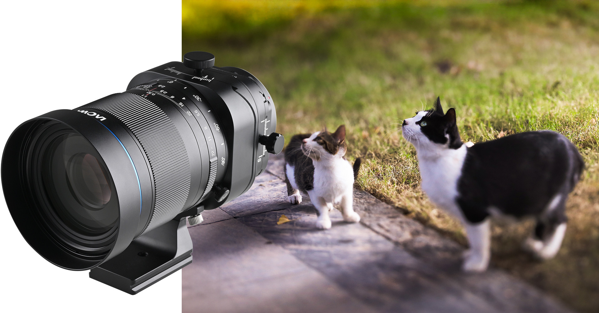 Obiektyw Laowa 100 mm f/2,8 Tilt-Shift 1x Macro do Canon RF