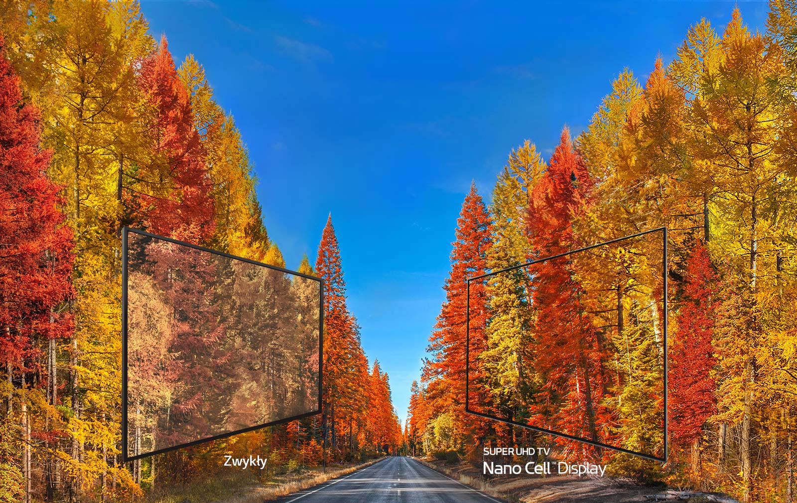 04_SK80_AS_Wide_angle_desktop