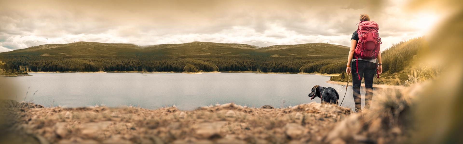 Wsparcie dla zdrowia skóry i sierści