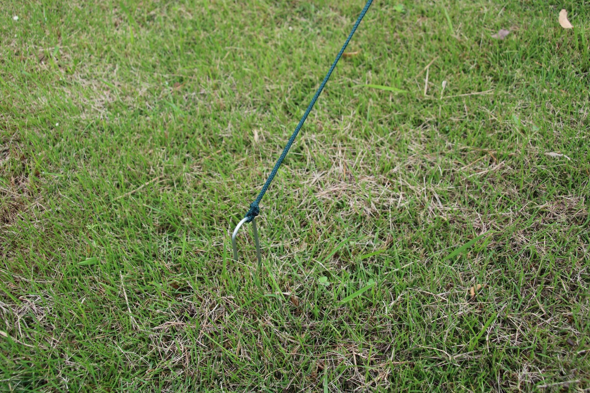 Funkcjonalne okna z moskitierami