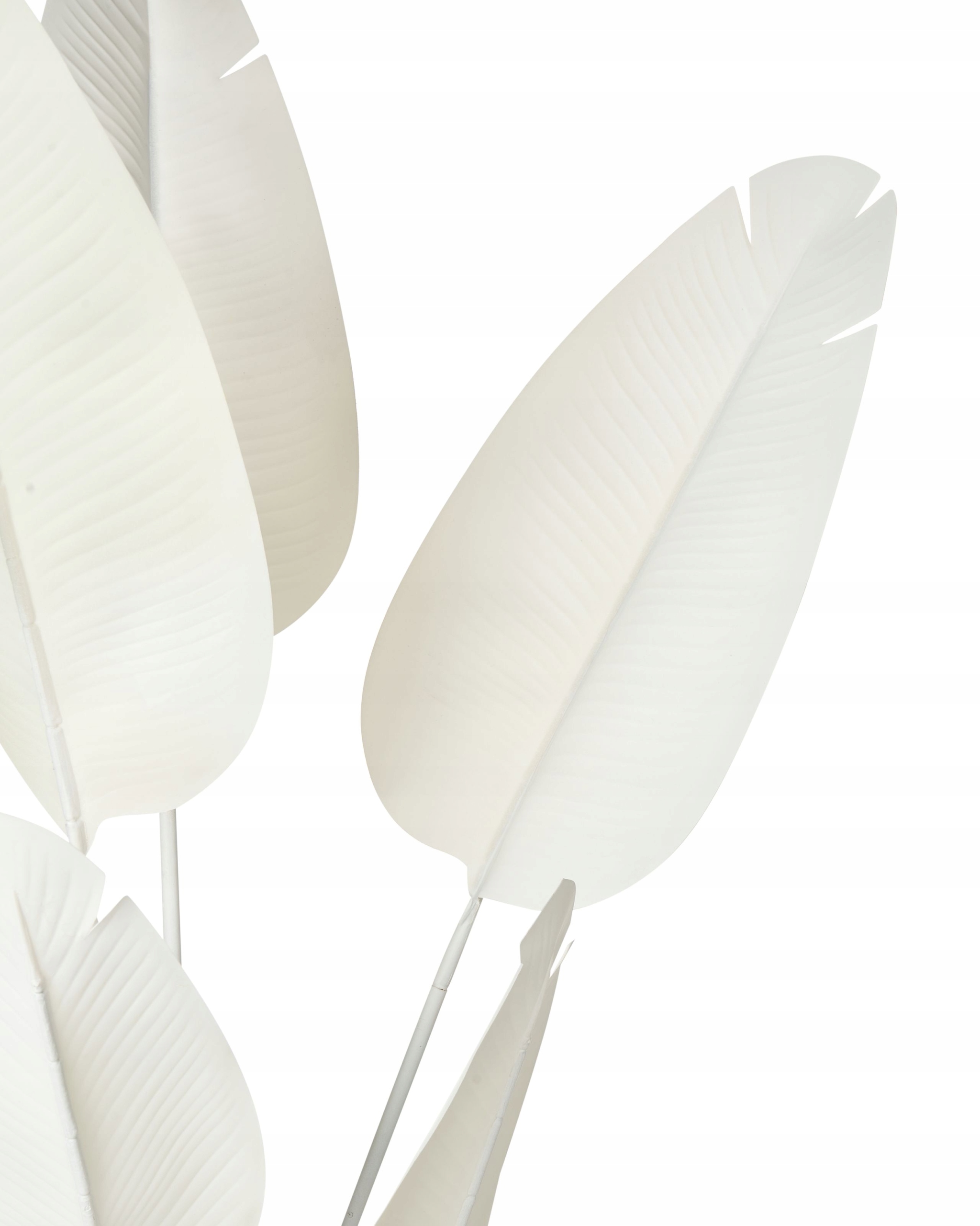 Łatwe w pielęgnacji drzewko do stylizacji