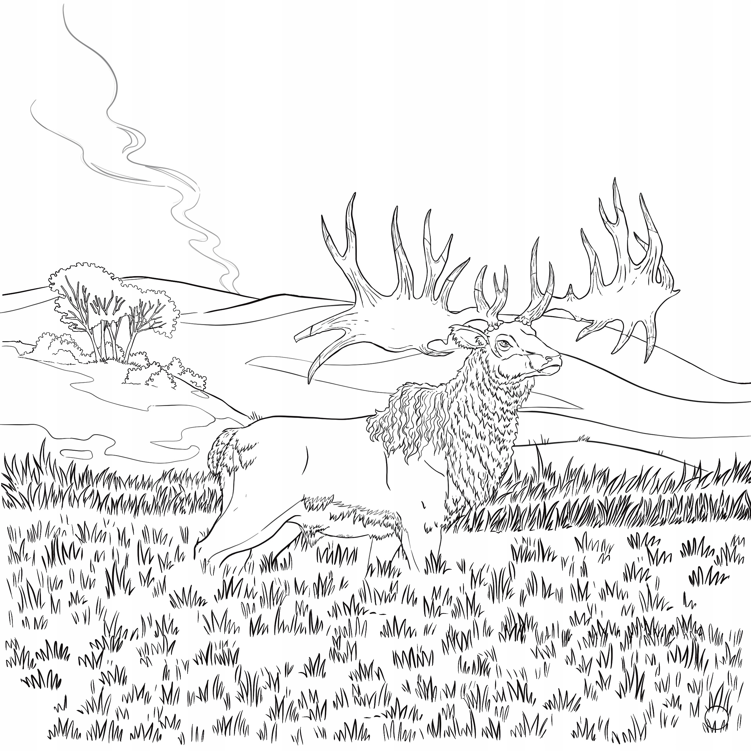 Ilustracje i opisy ponad 20 gatunków zwierząt