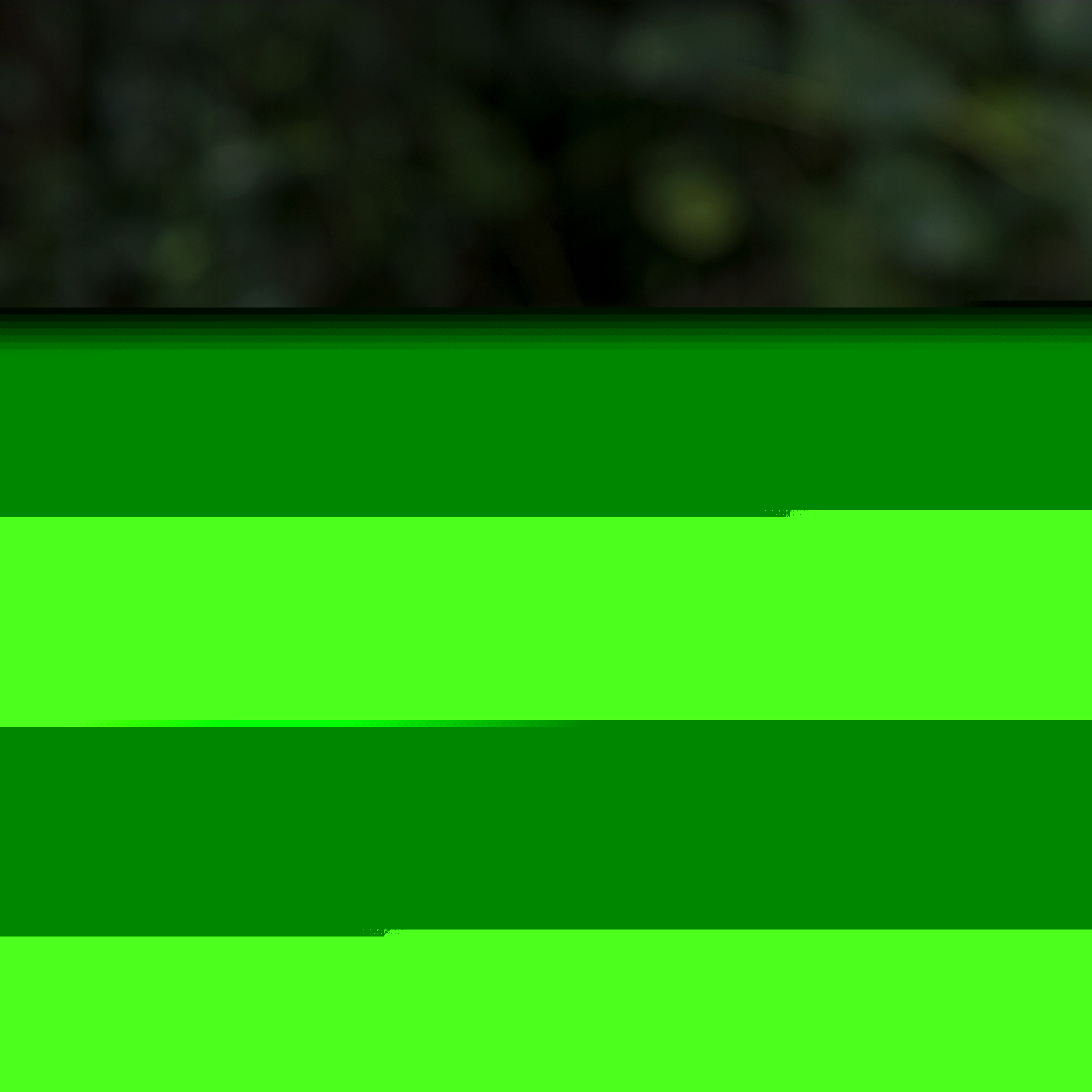 Latarka Diodowa Fenix PD35 V3.0 Zielona* – Niezawodne oświetlenie w każdych warunkach