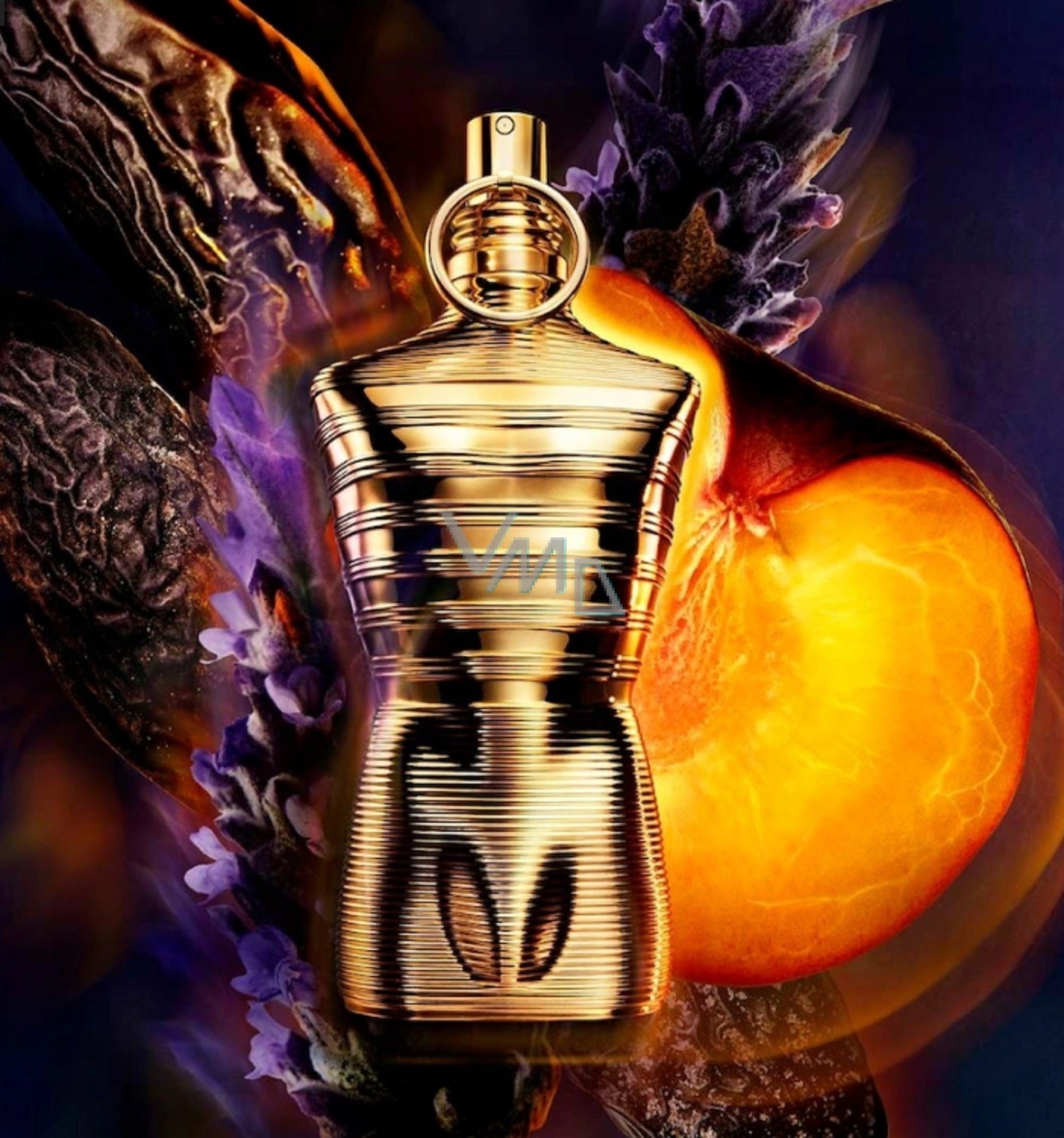 Składniki i nuty zapachowe – odkryj tajemnice Le Male Elixir