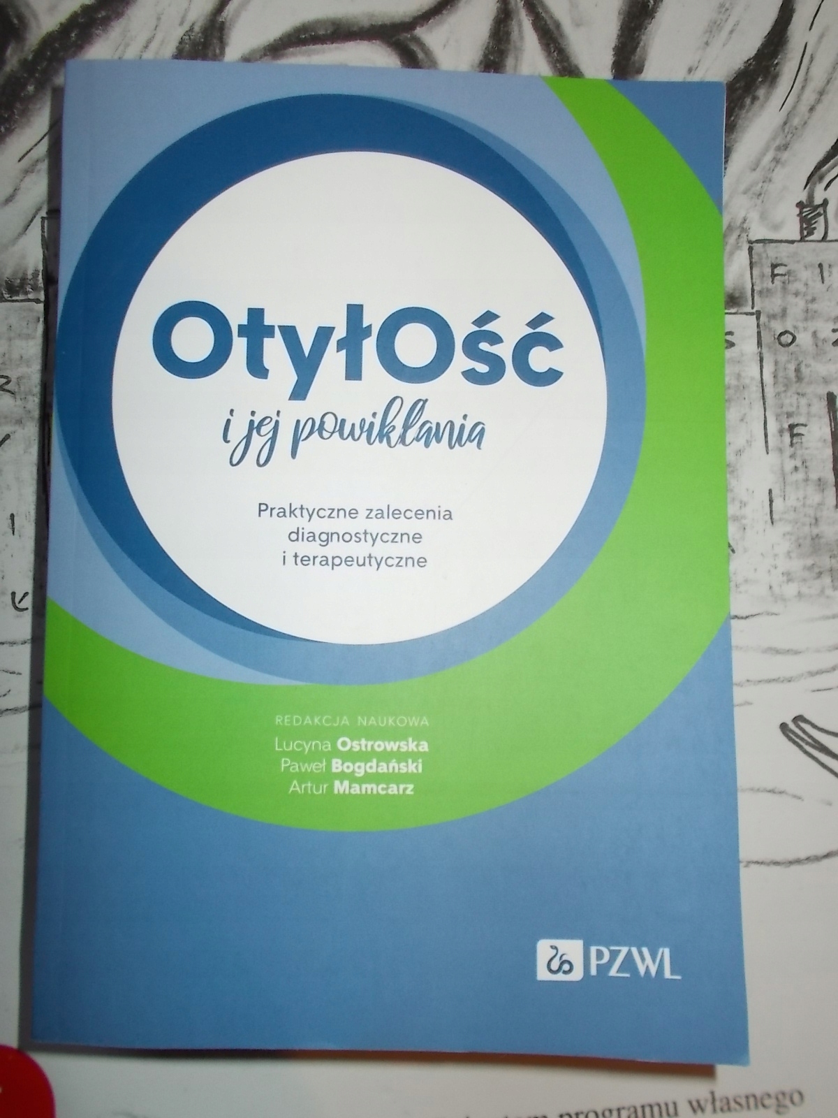 Wskazówki praktyczne dla profesjonalistów w leczeniu otyłości