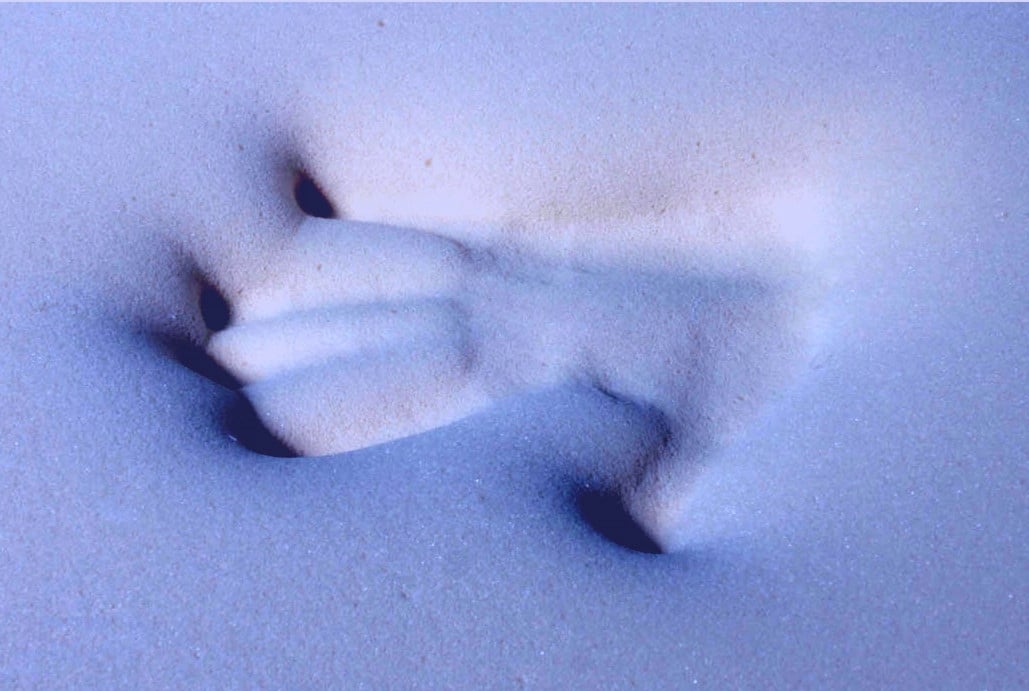 Materac nawierzchniowy 120x200 Visco Pikowany 7cm Rodzaj materaca Nawierzchniowy