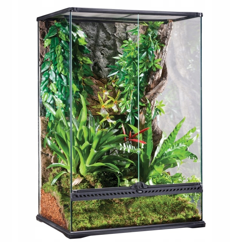 Exo Terra Paludarium szklane MEDIUM 60x45x90cm – Idealne dla gadów i płazów