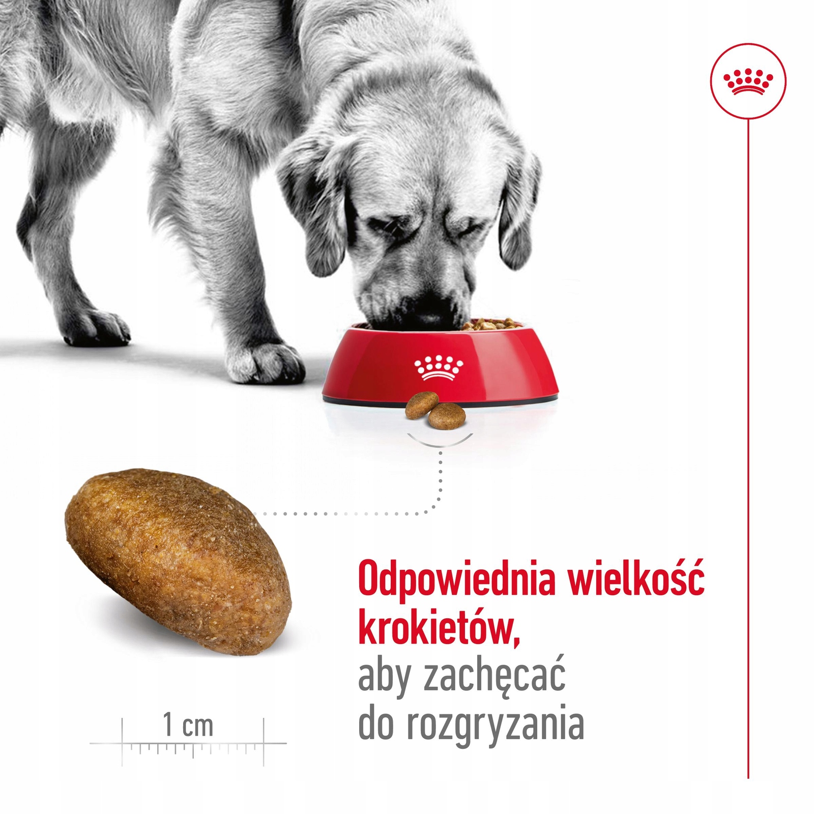 Kwasy tłuszczowe Omega 3 dla zdrowej skóry