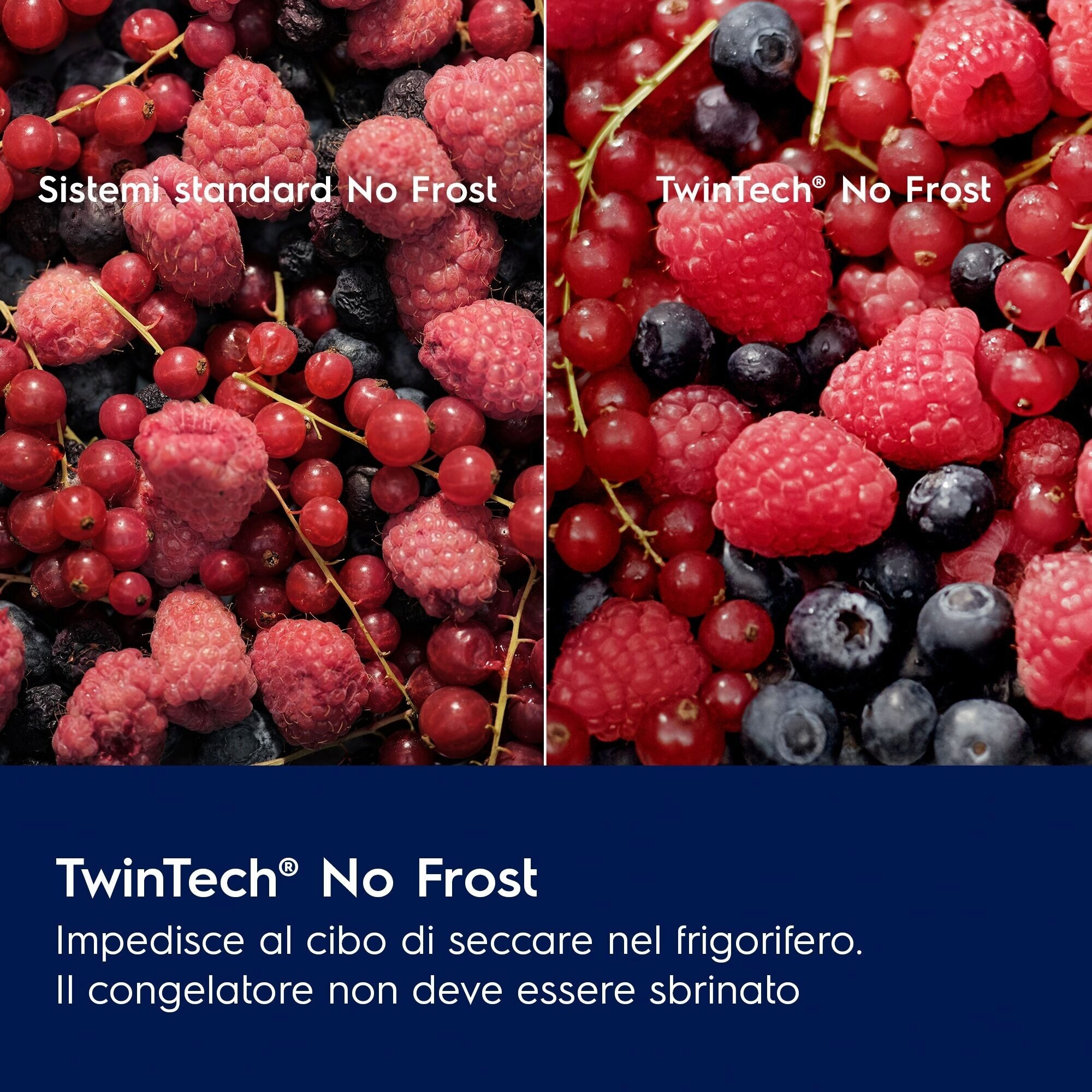 Alarmy temperatury i otwartych drzwi – Bezpieczeństwo na pierwszym miejscu