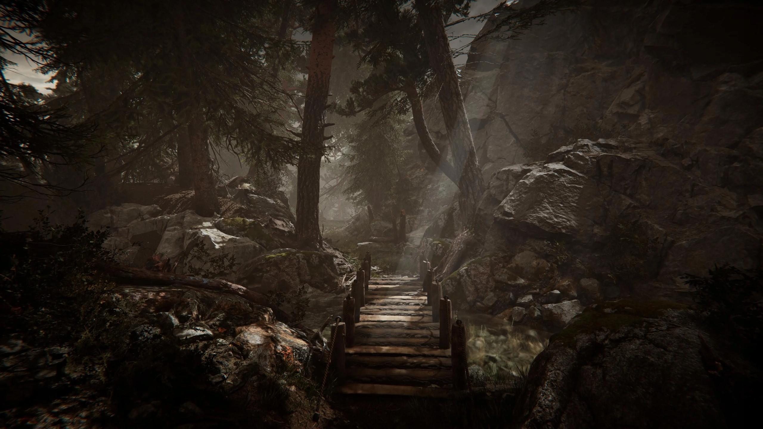 Poruszająca i niezapomniana historia Kate Walker