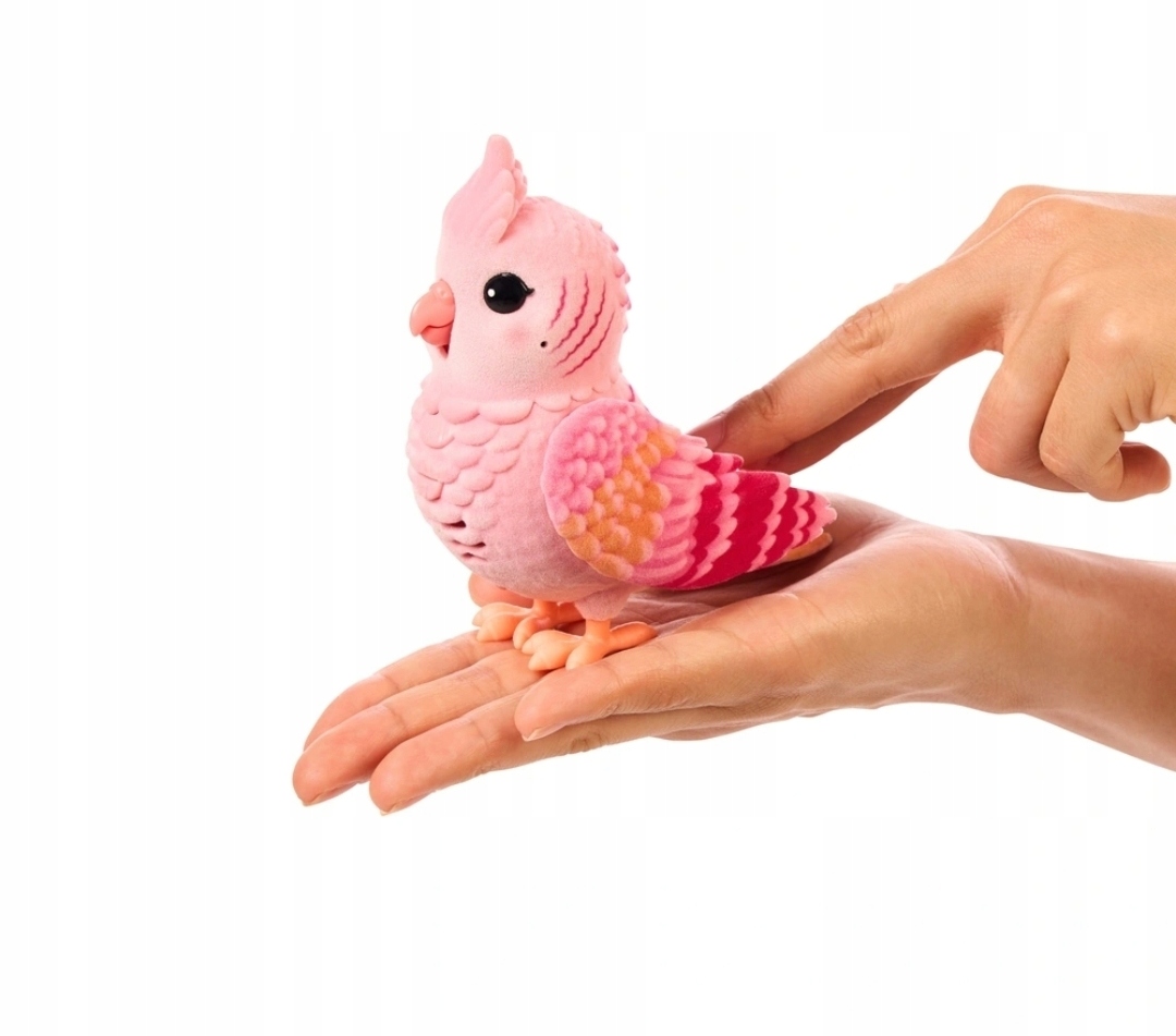 Kolorowa klatka – idealna do zabawy i transportu