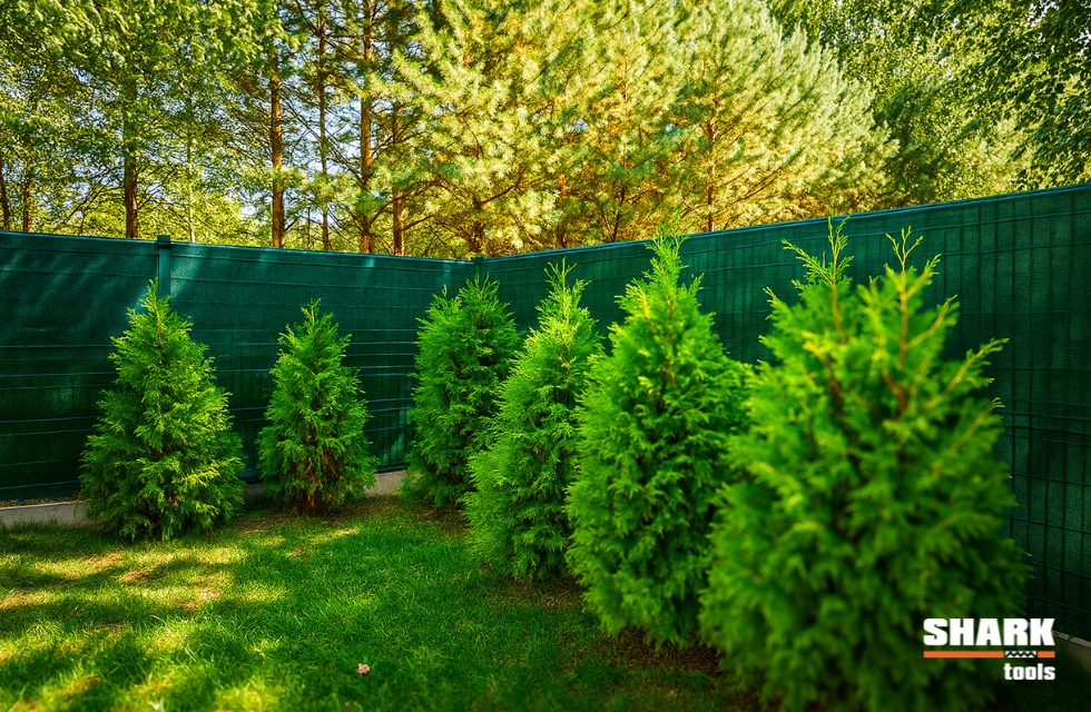 Wszechstronność zastosowań siatki cieniującej Shark