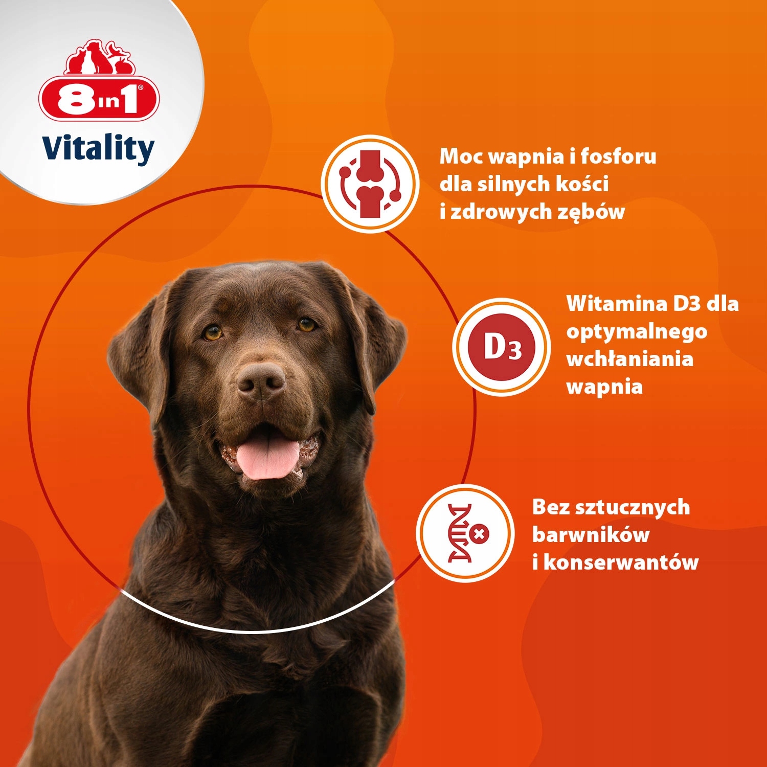 Suplement diety dla psów – Wsparcie w okresie wzrostu
