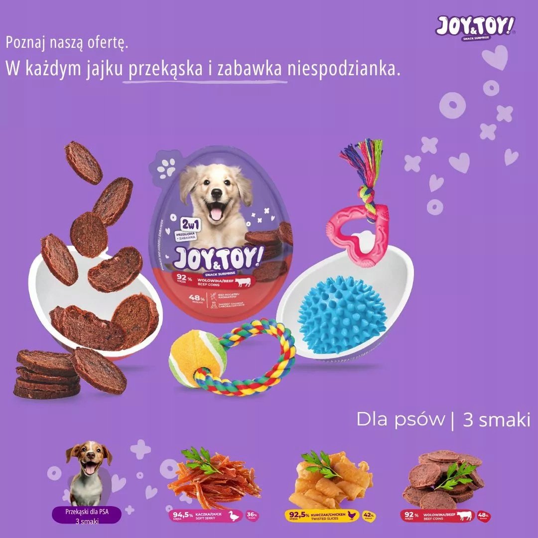 Niespodzianka dla psa – zabawka w środku