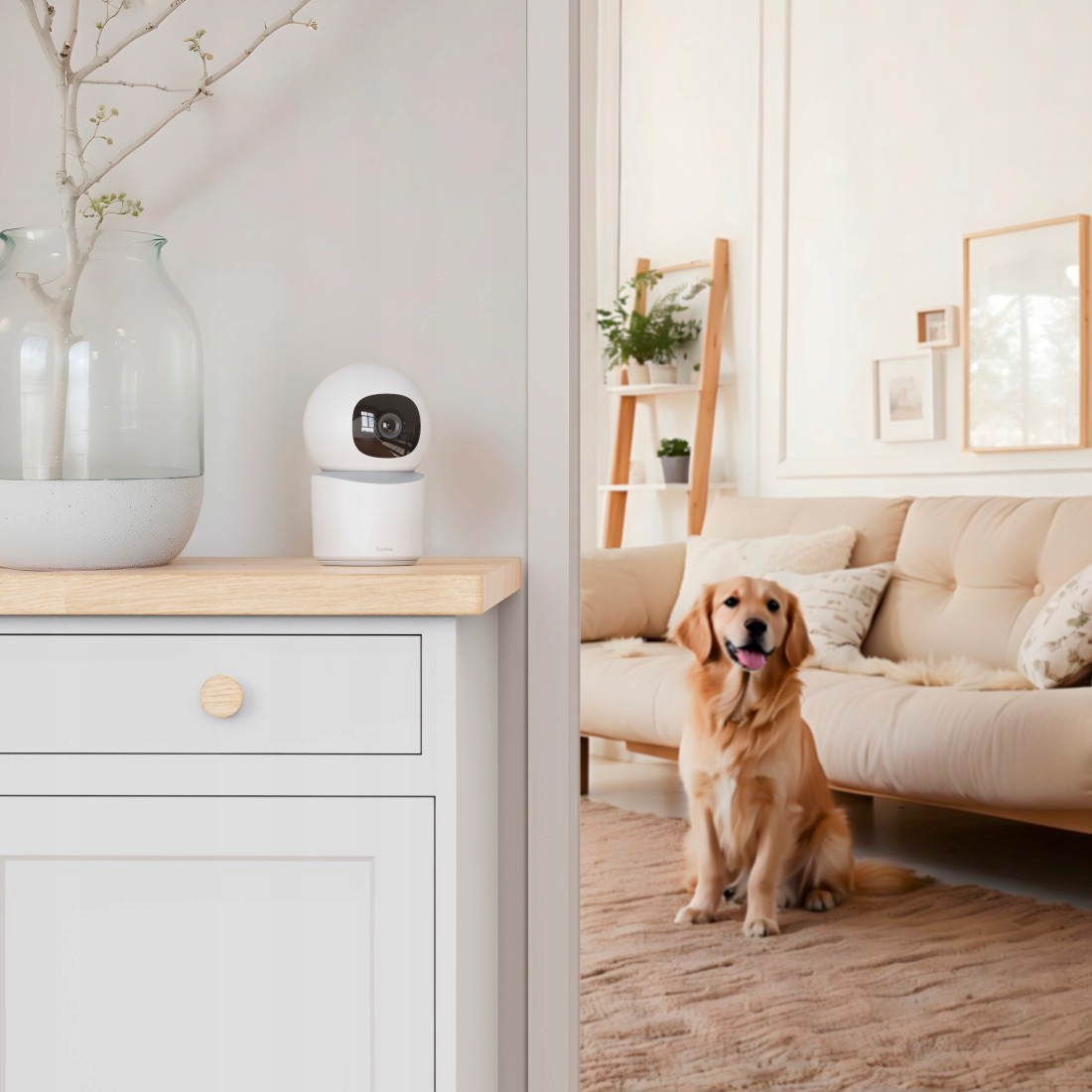 Zdalny Podgląd na Żywo – Kontroluj Swoje Otoczenie z Dowolnego Miejsca