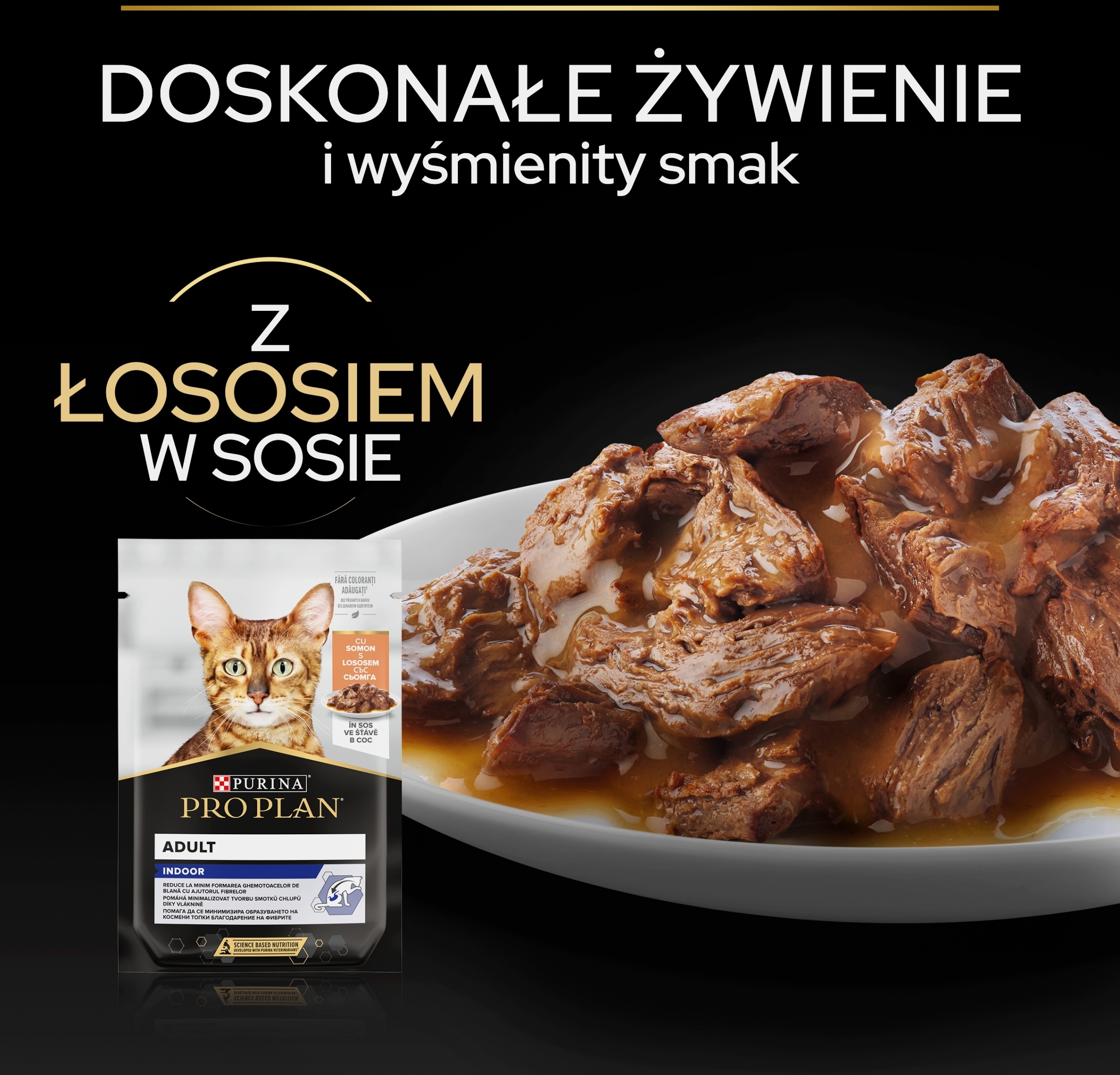 Delikatne kawałki z łososiem w sosie – Smak, który pokocha każdy kot