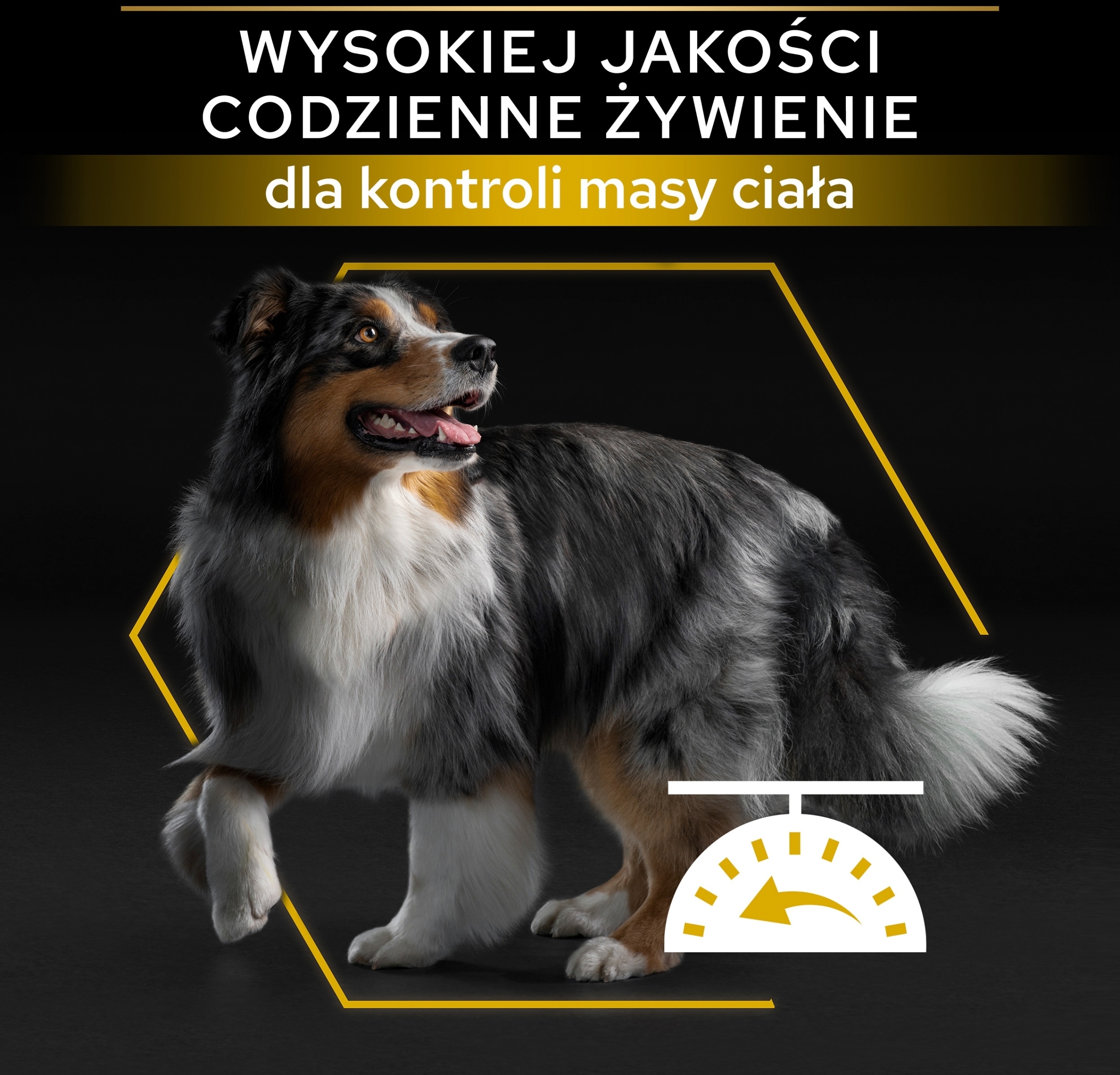 Niskotłuszczowa receptura dla psów z nadwagą