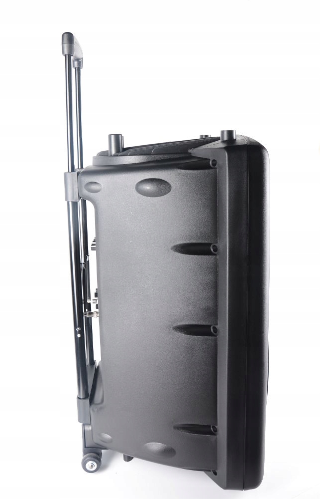 Zestaw mikrofonów bezprzewodowych do karaoke