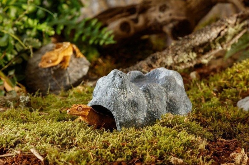 Idealne warunki do linienia i składania jaj