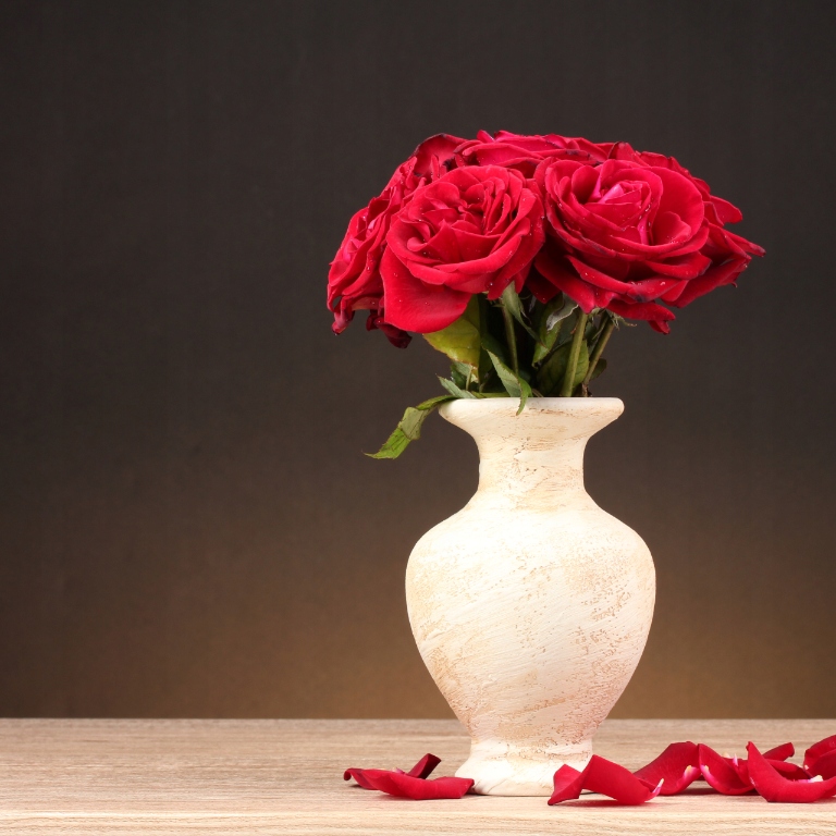 Urzekający zapach kwitnącej pąsowej róży