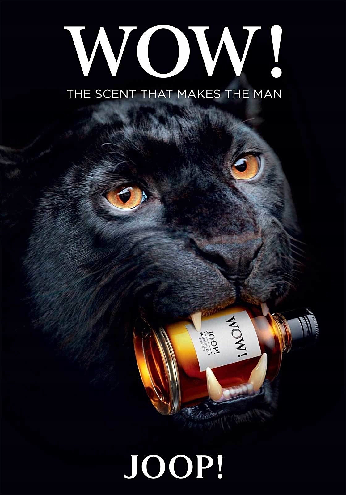 Perfumy męskie JOOP! Wow! EDT 100 ml – Elegancja i pewność siebie
