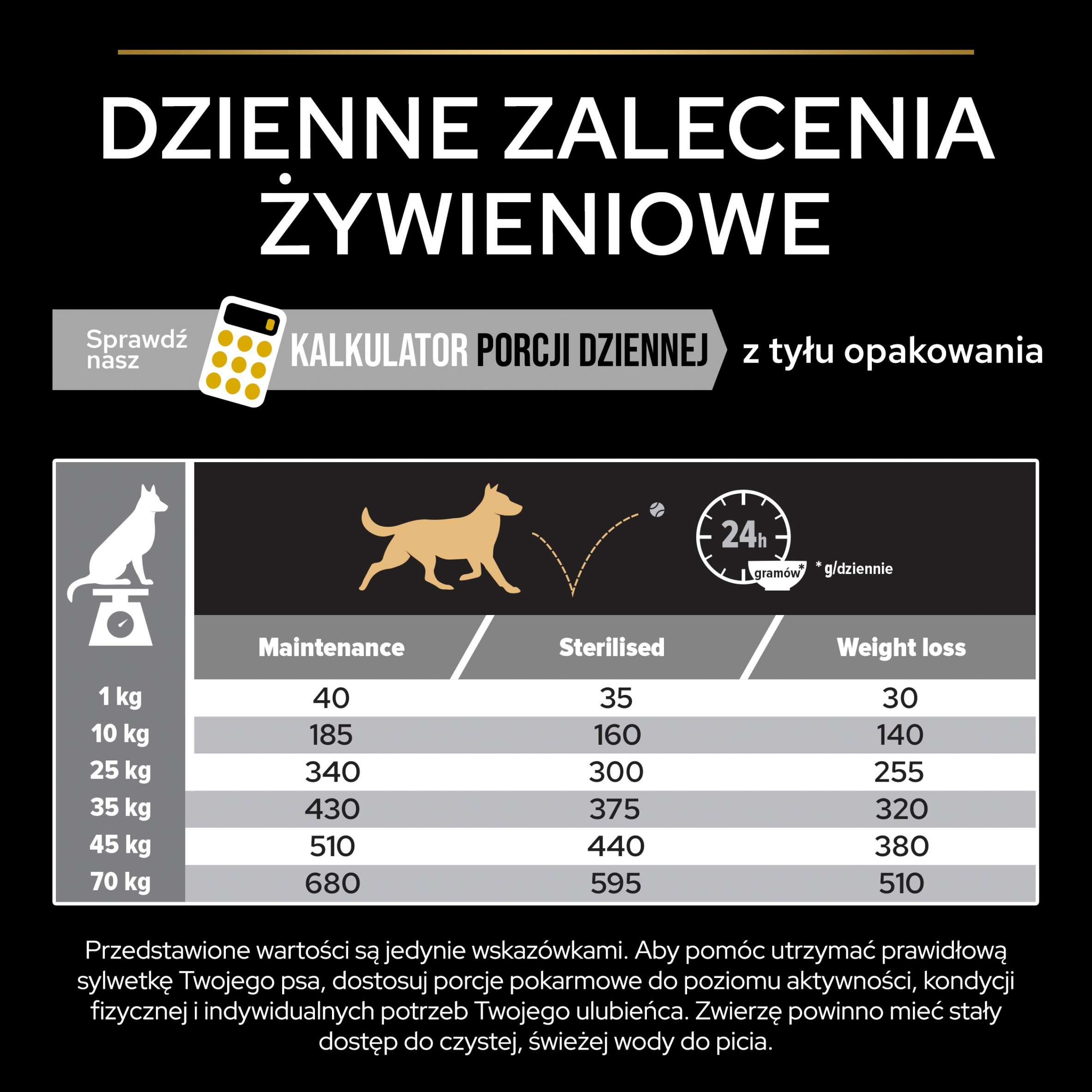 Przewodnik żywienia – jak dostosować porcje dla Twojego psa